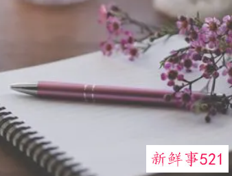 企业的未来发展规划