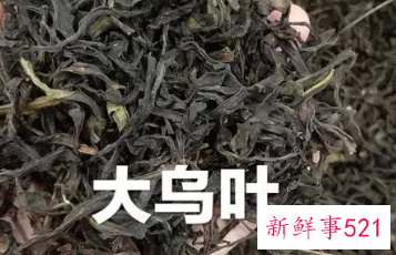 大乌叶和鸭屎香的区别