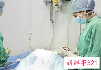 怀孕5个月还能打掉孩子吗