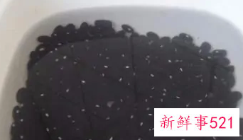 发酵黑豆豉的制作方法窍门
