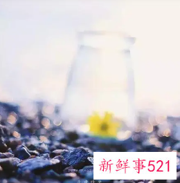 说出自己的内心话