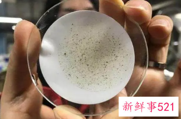 微塑料颗粒在人类血液中被发现