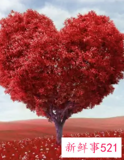 有一个会撒娇的男朋友是什么体验