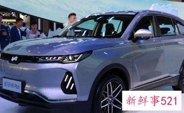 纯电动车排名前十名