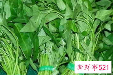 空心菜对人体有什么好处有什么坏处