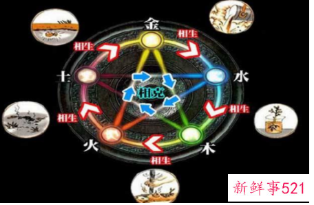 五行属水的身体部位