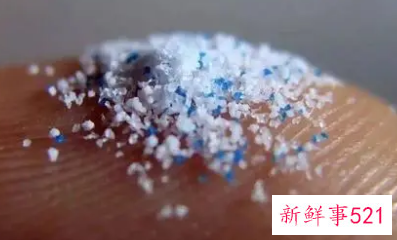 微塑料颗粒在人类血液中被发现