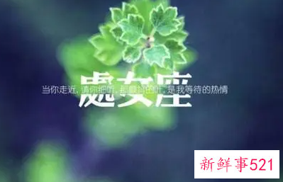 清醒又理智的星座
