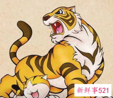 属虎女婚姻配对