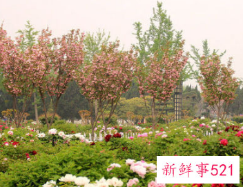 济南适合老年人玩的景区