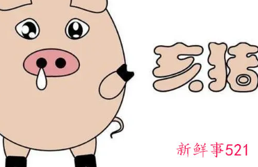 属猪的女什么月份最好