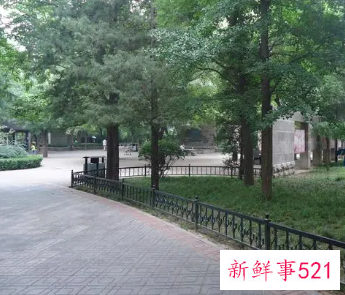 大门隔着路对面有树好不