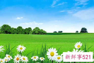 周公解梦之梦到一片绿草