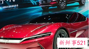 纯电动车排名前十名