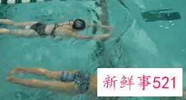 蝶泳慢动作分解
