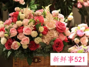 普通冷藏柜可以放鲜花吗