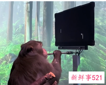 马斯克称已将自己的大脑上传到云端