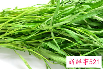 空心菜对人体有什么好处有什么坏处