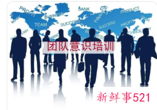 团队销售培训心得总结怎么写