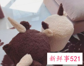 利用废旧物品做小手工