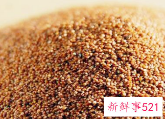 假海藻和真海藻的区别