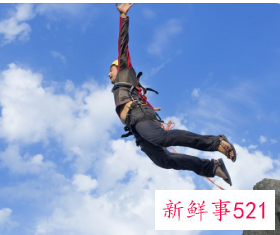 拓展训练的感想和收获简短