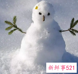 梦见下了大雪
