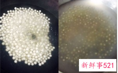 西米银耳羹做法