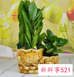 好听又聚财的名字三个字