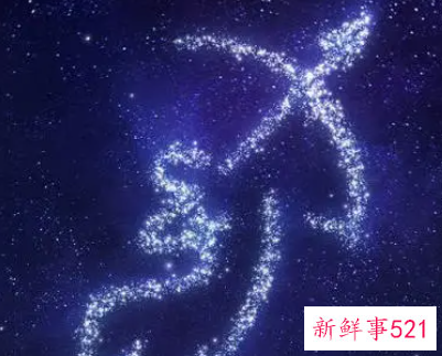 哪个星座的智商高