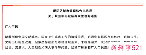 最严遛狗令遛狗时间段仅限凌晨