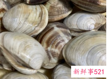 洋丝瓜怎么做好吃又简单