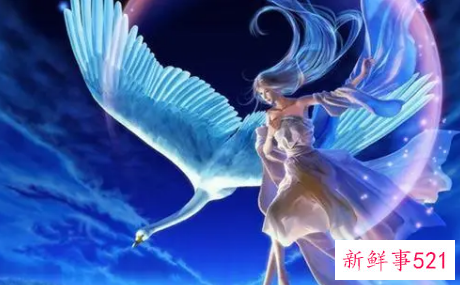 未来有无限可能的4大星座