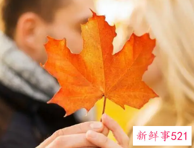 撩汉的正确方法