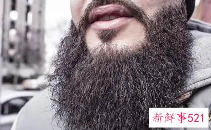 梦见长满胡子的人有什么征兆