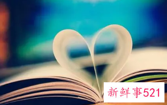 用什么东西来比喻情侣