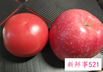 苹果西红柿减肥效果好吗