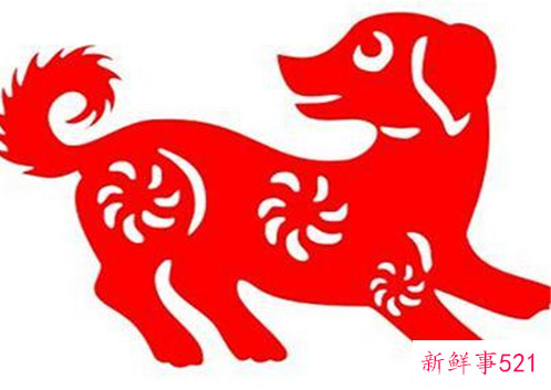 94年属狗女何时有姻缘