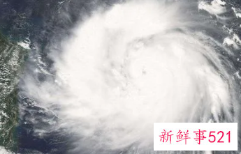 梦见大旋风是什么预兆