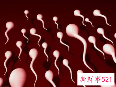 长时间不排精会怎样