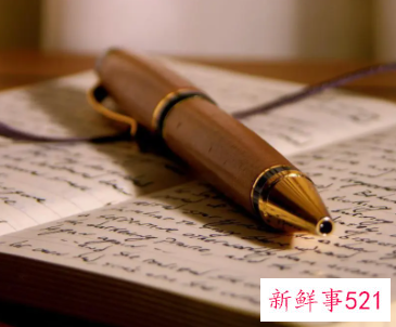 企业的未来发展规划