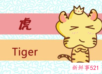 属虎女婚姻配对