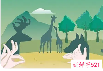 保护生态环境不乱喂动物不什么