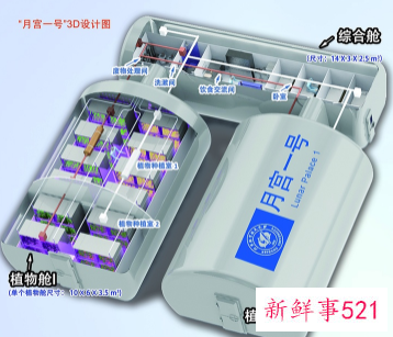神舟十三号名单