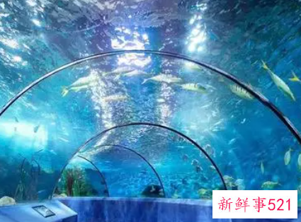 适合情侣玩的室内场所