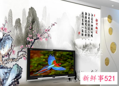 家里挂梅花吉利吗