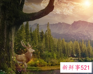 和前任复合的套路聊天