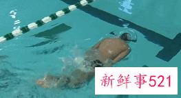 蝶泳慢动作分解