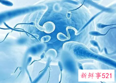 长时间不排精会怎样