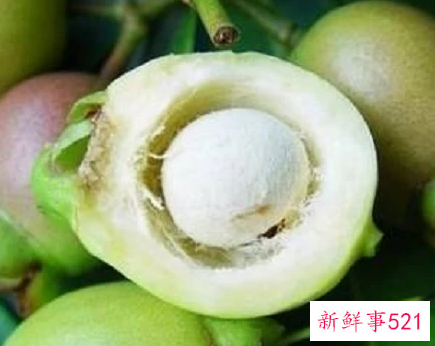 水蒲桃什么味道